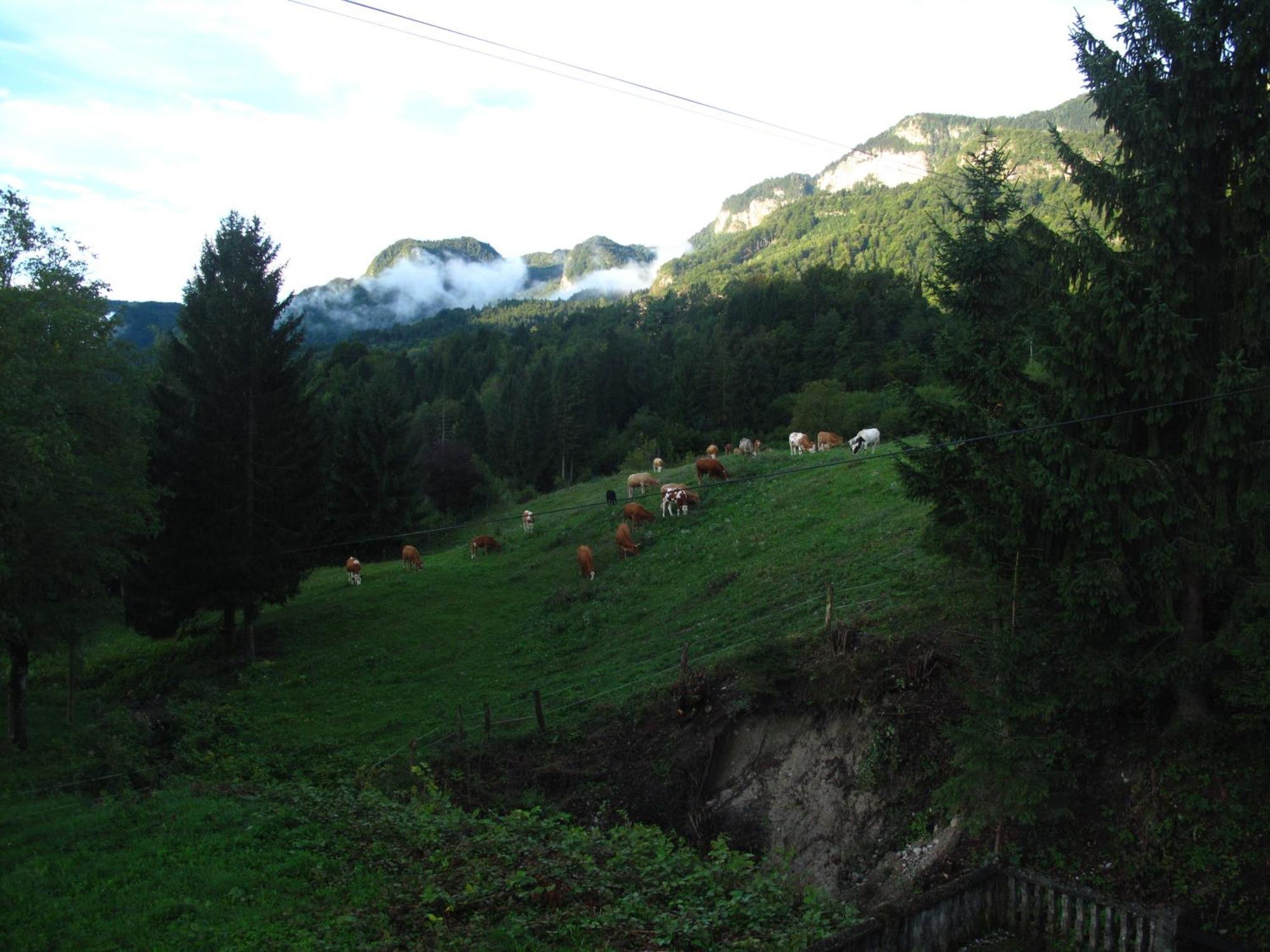 Holiday Home Bela Bohinjska Bela Exterior foto